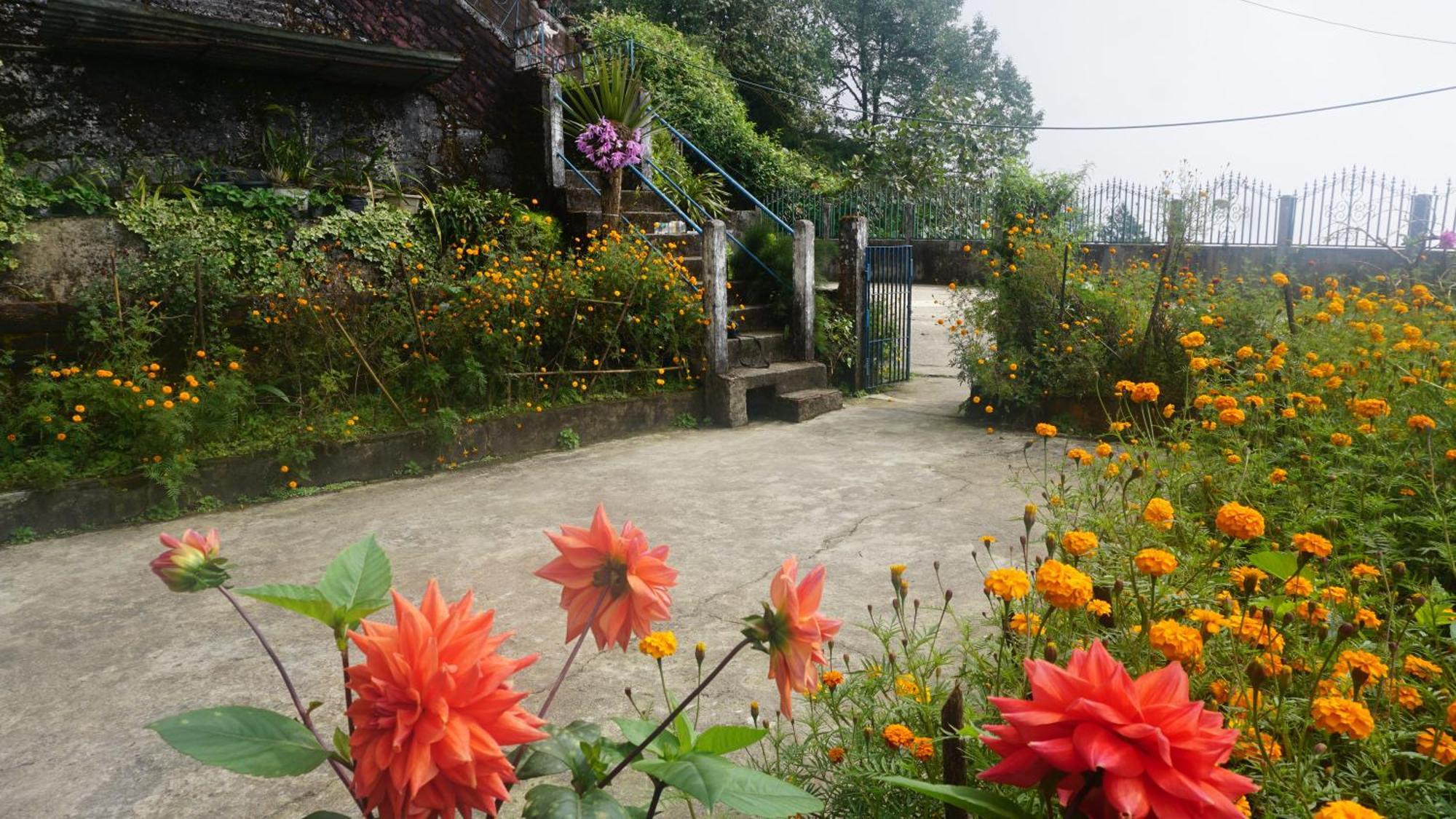 Tranquil Retreat Homestay Ghum Exteriör bild