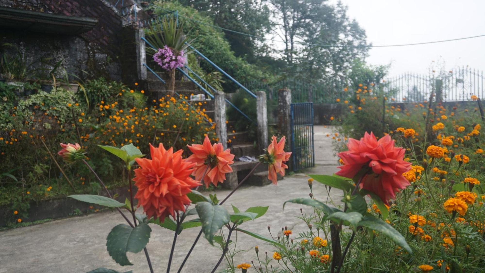 Tranquil Retreat Homestay Ghum Exteriör bild
